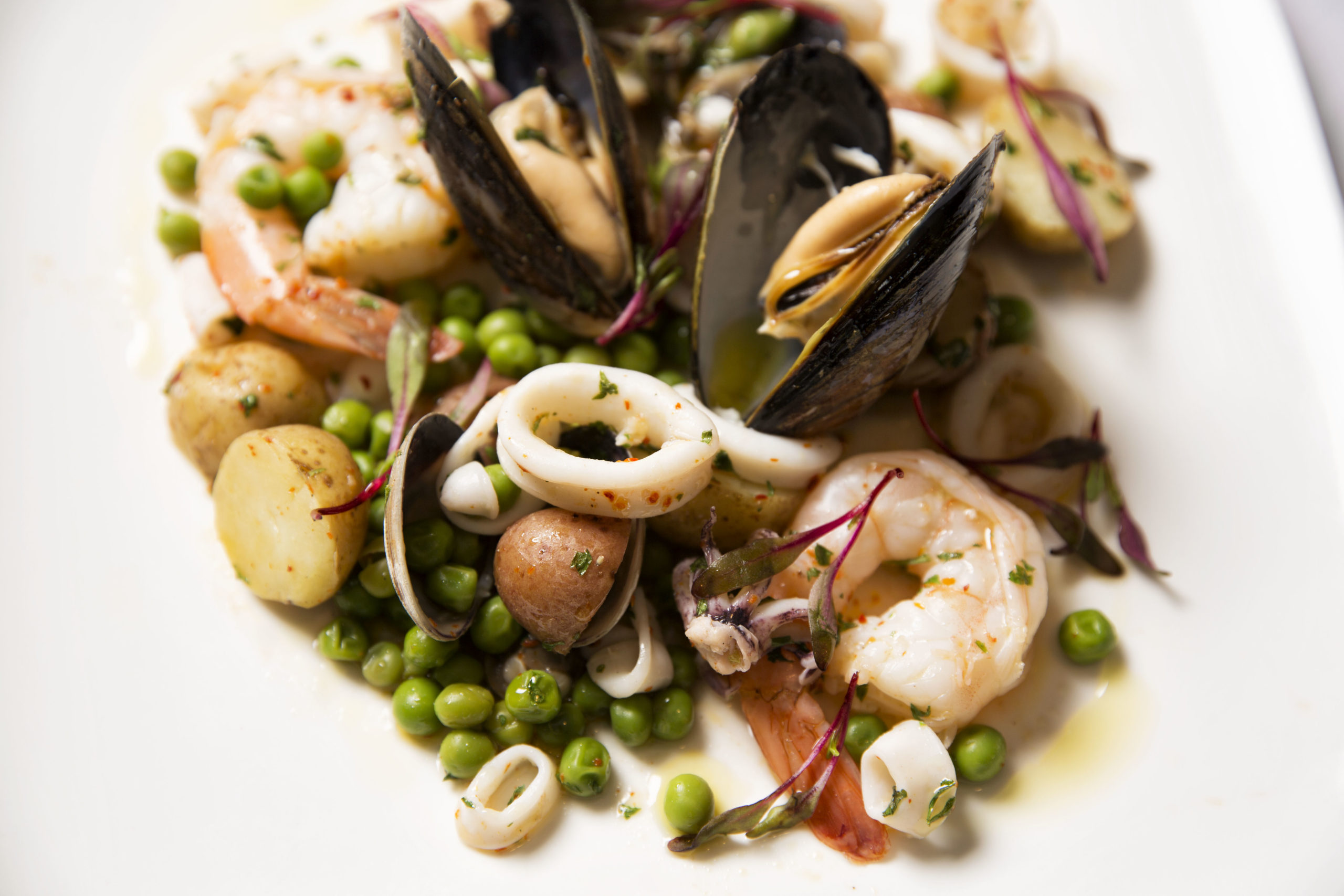 MixedSeafood_1-scaled