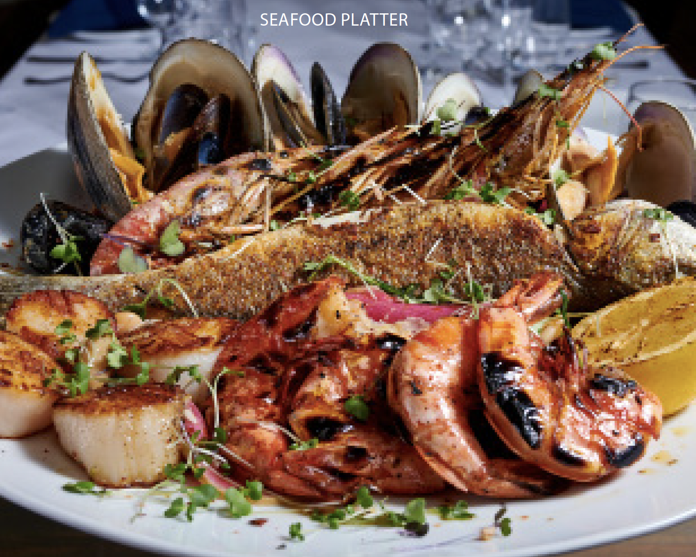 Screenshot-2023-09-11-at-10.51.01-PM